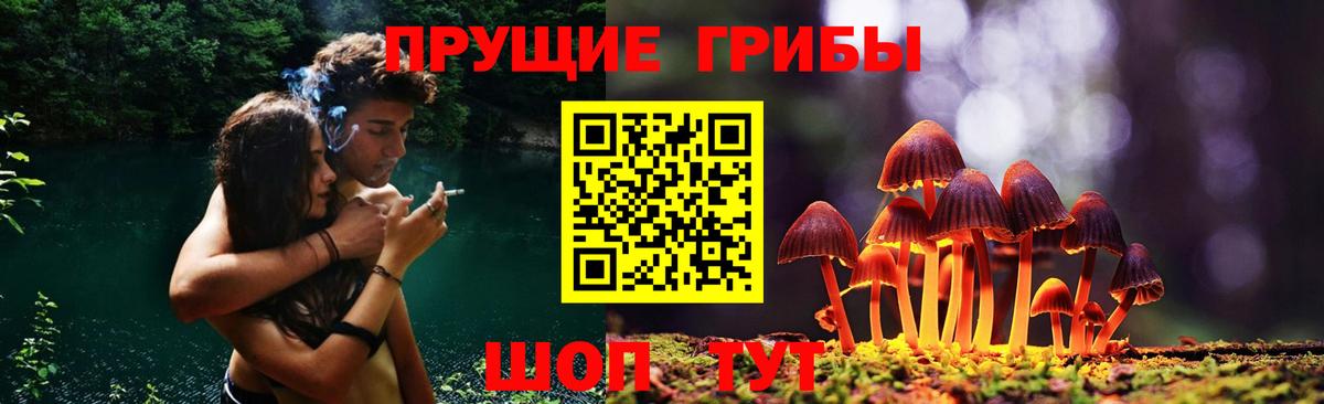 Липецк  Галлюциногенные грибы Magic Shrooms  Вход с VPN 